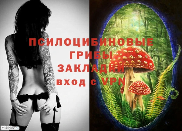 метамфетамин Елизово